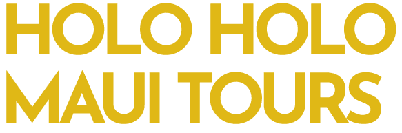 Holo Holo Maui Tours